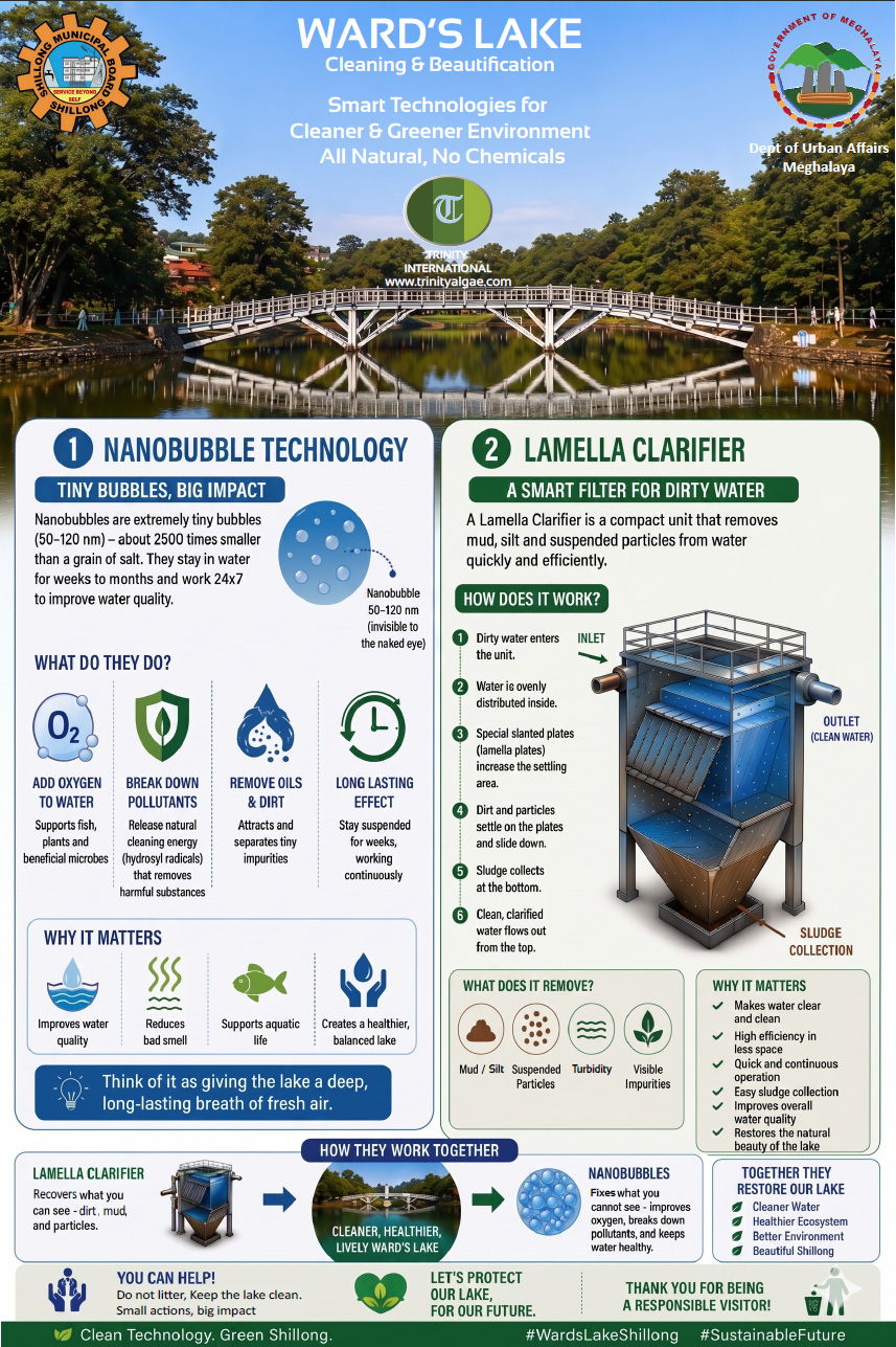 Ward's Lake Cleaning and Beautification